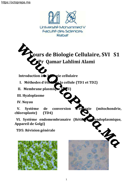Cours De Biologie Cellulaire SVI / S1 / PDF - octoprepa (1)